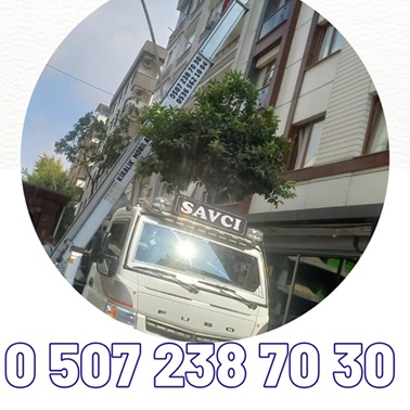 Şişli Mobil Asansör Kiralama
